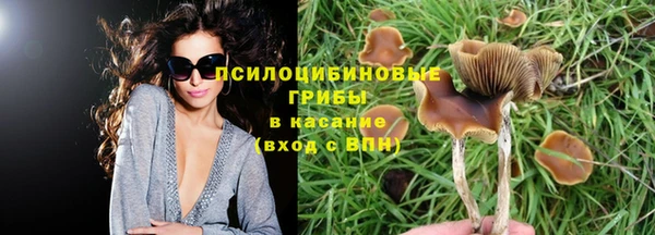 молекула духа Аркадак