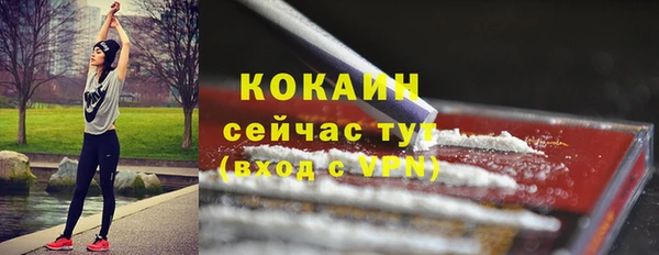 бошки Арсеньев